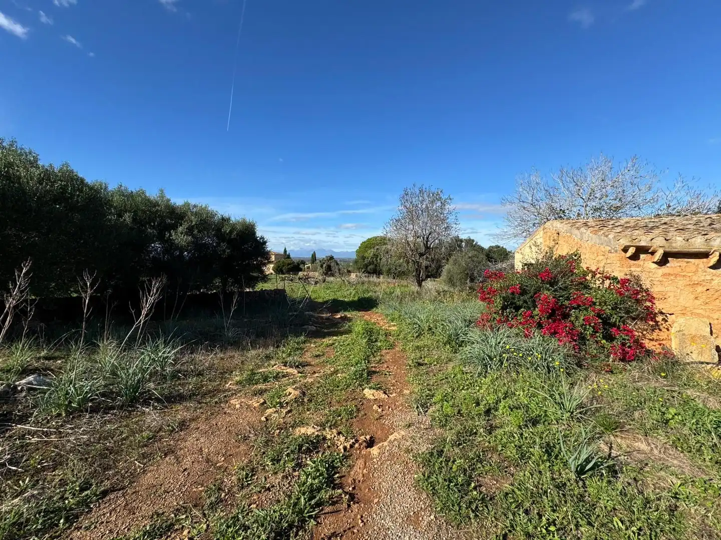Casa rustica con giardino in vendita a Artà Poble, imagen 3