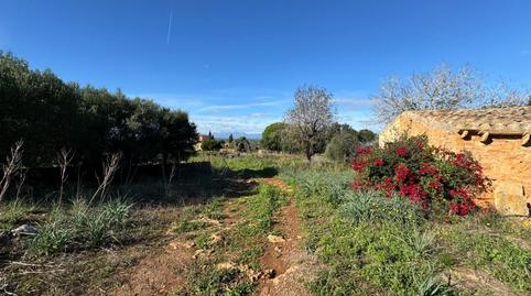 Photo 3 of Country house for sale in Artà Poble, Artà