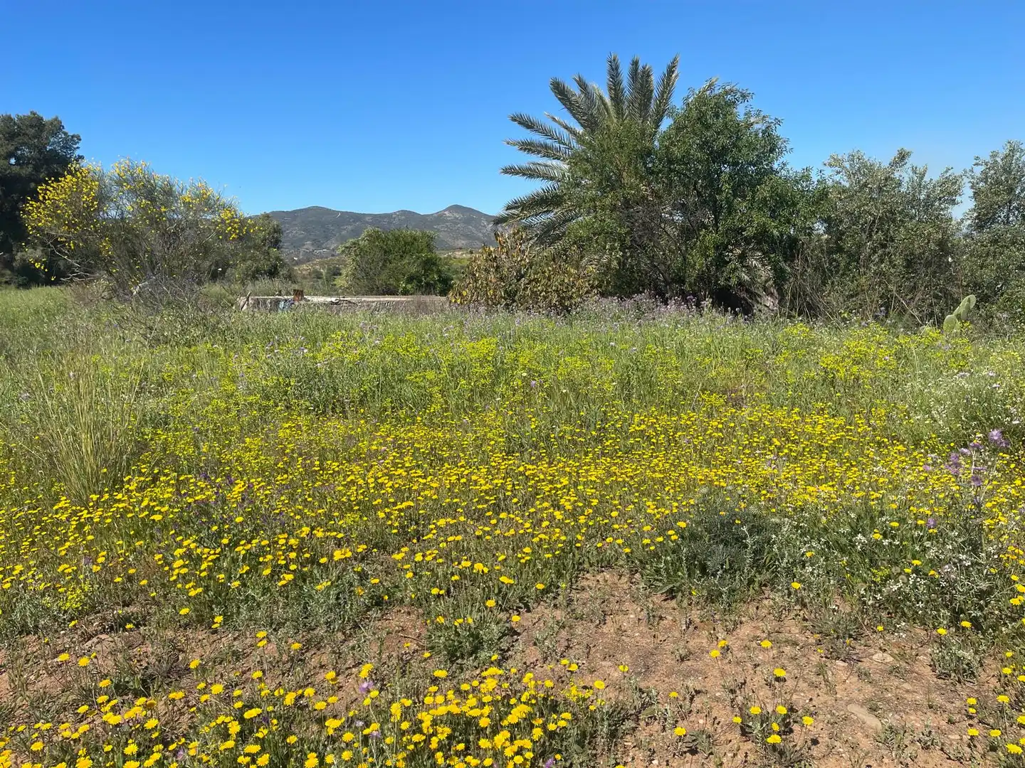 Terreno en venta en Málaga
