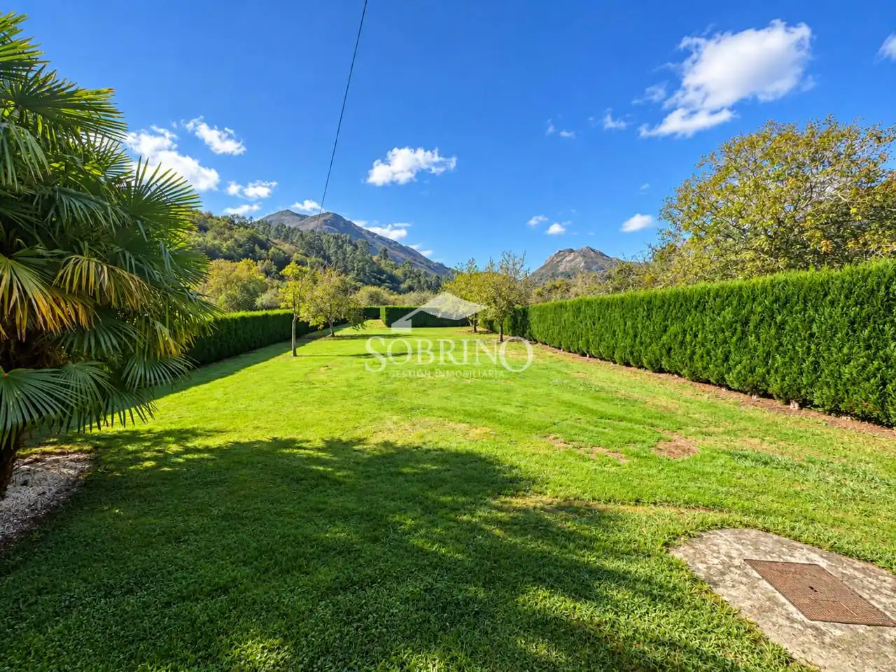 Jardín de Casa o chalet en venta en Vibaña - Ardisana - Caldueño