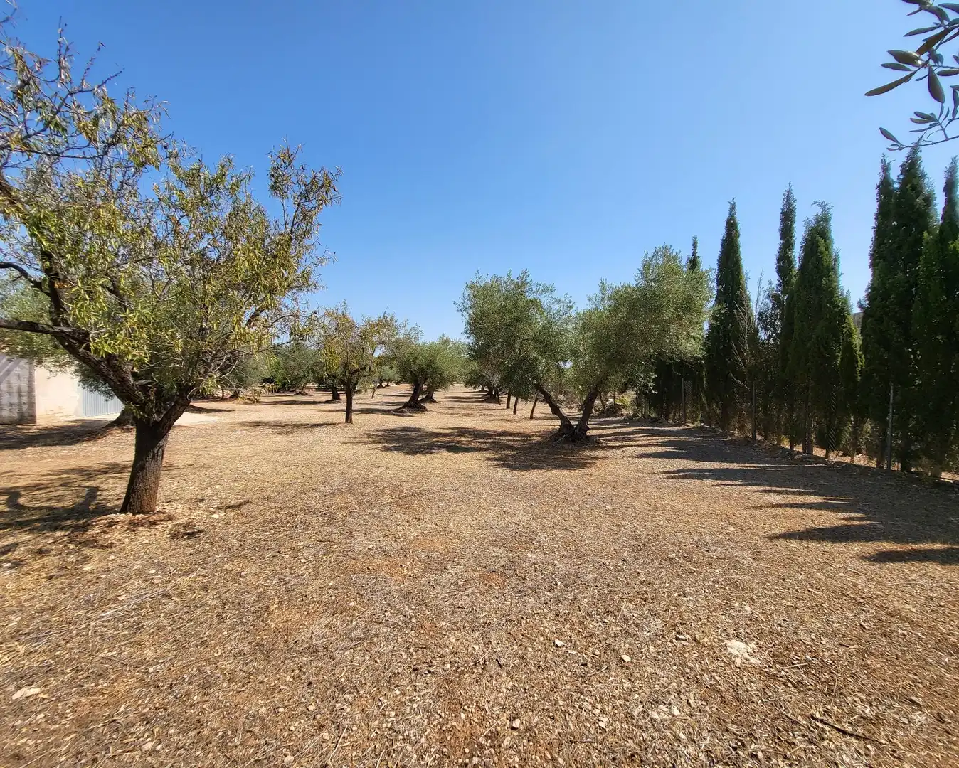 Landhaus mit Garten zum Verkauf in L'Ametlla de Mar pueblo, imagen 48