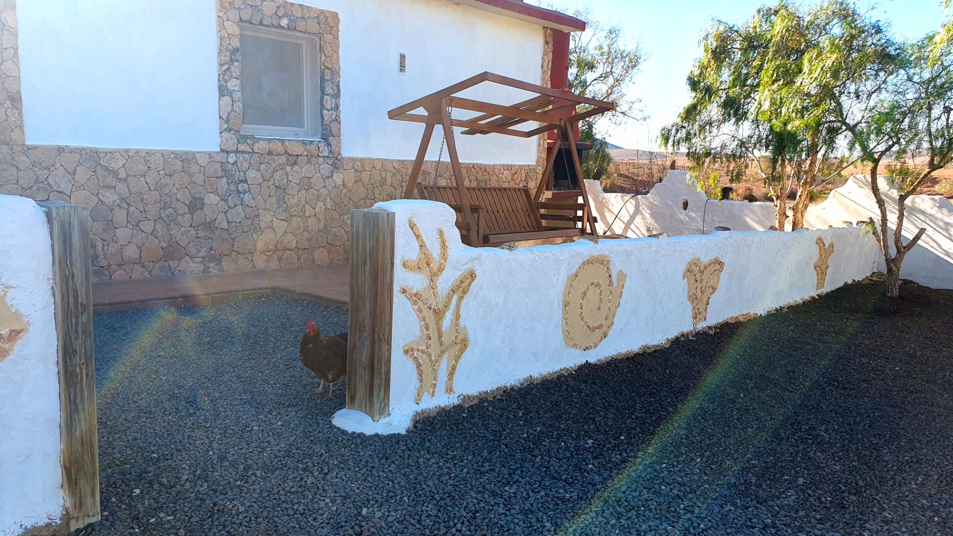 Garten von Country house zum verkauf in Puerto del Rosario mit Privatgarten und Terrasse