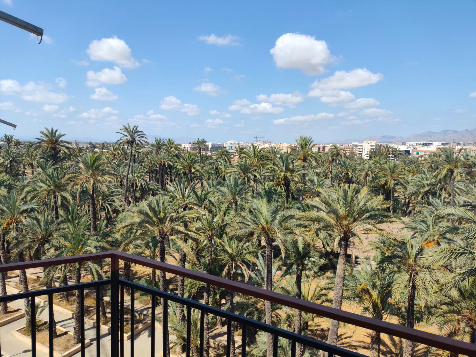 Jardín de Piso de alquiler en Elche / Elx con Aire acondicionado, Calefacción y Amueblado