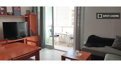 Photo 3 of Apartment to share in Segur Platja, Tarragona