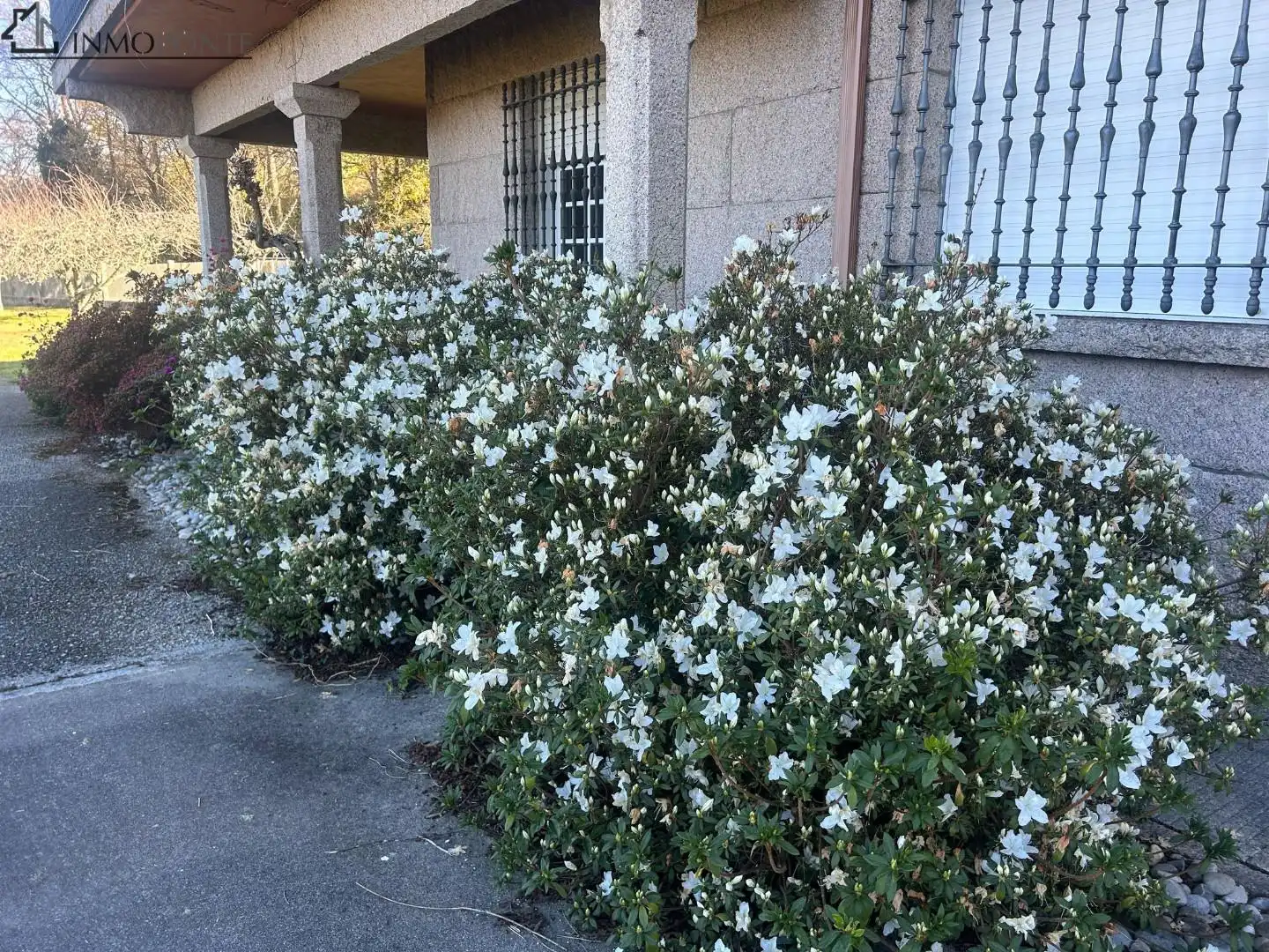 Vista exterior de Casa o chalet en venta en Pontevedra Capital  con Jardín privado