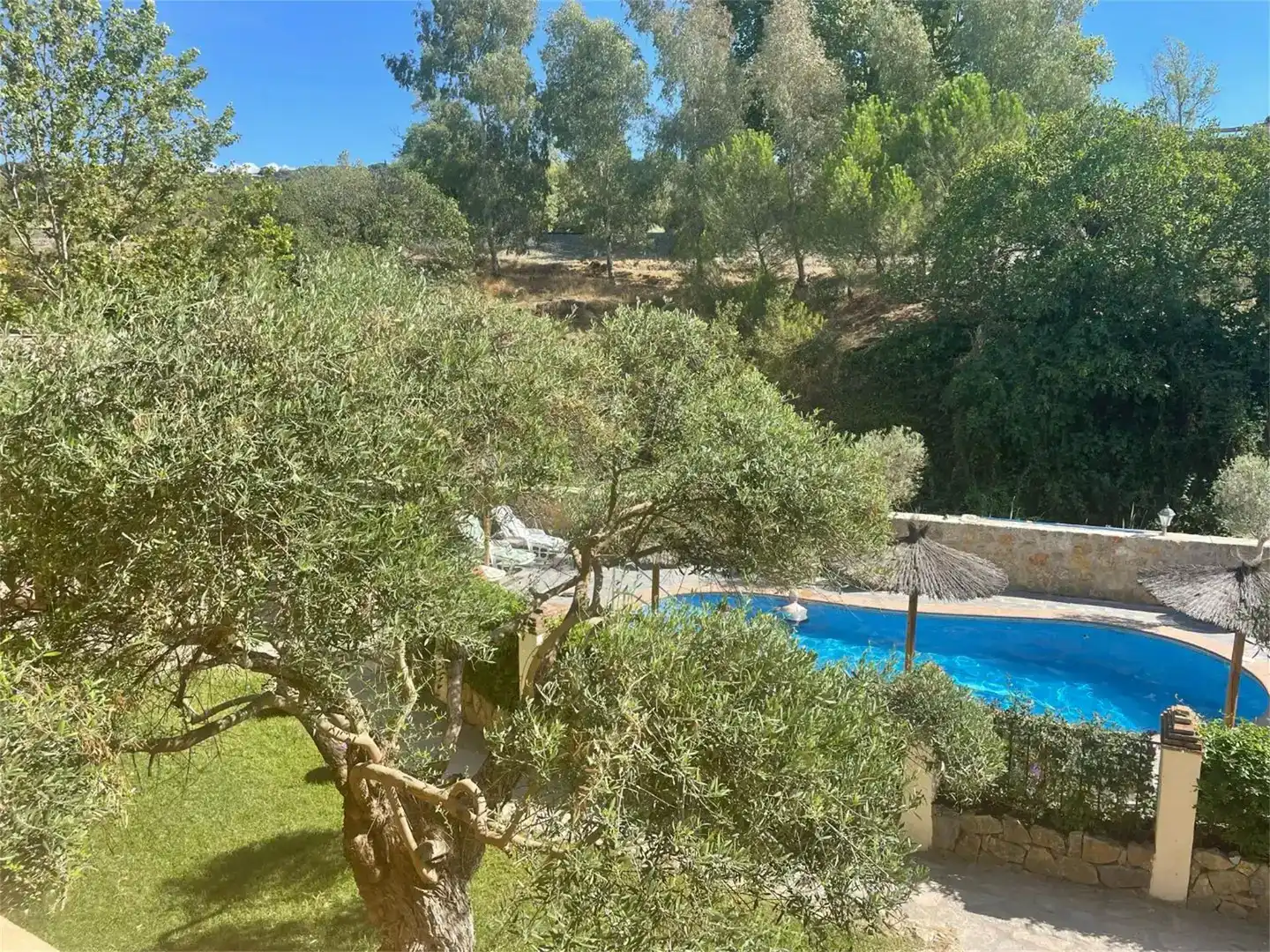 Jardí de Local en venda en Ronda amb Aire condicionat, Parquet i Moblat