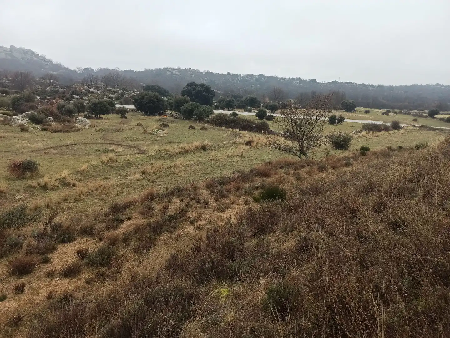 Terreno rustico in vendita a Zarzalejo, imagen 26