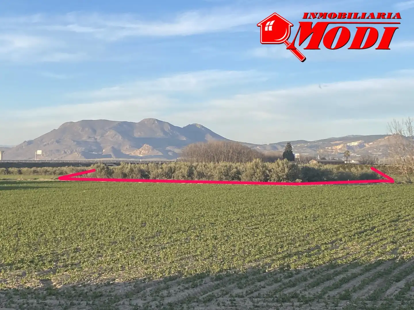 Terrenys i solars en venda a Belicena, imagen 17
