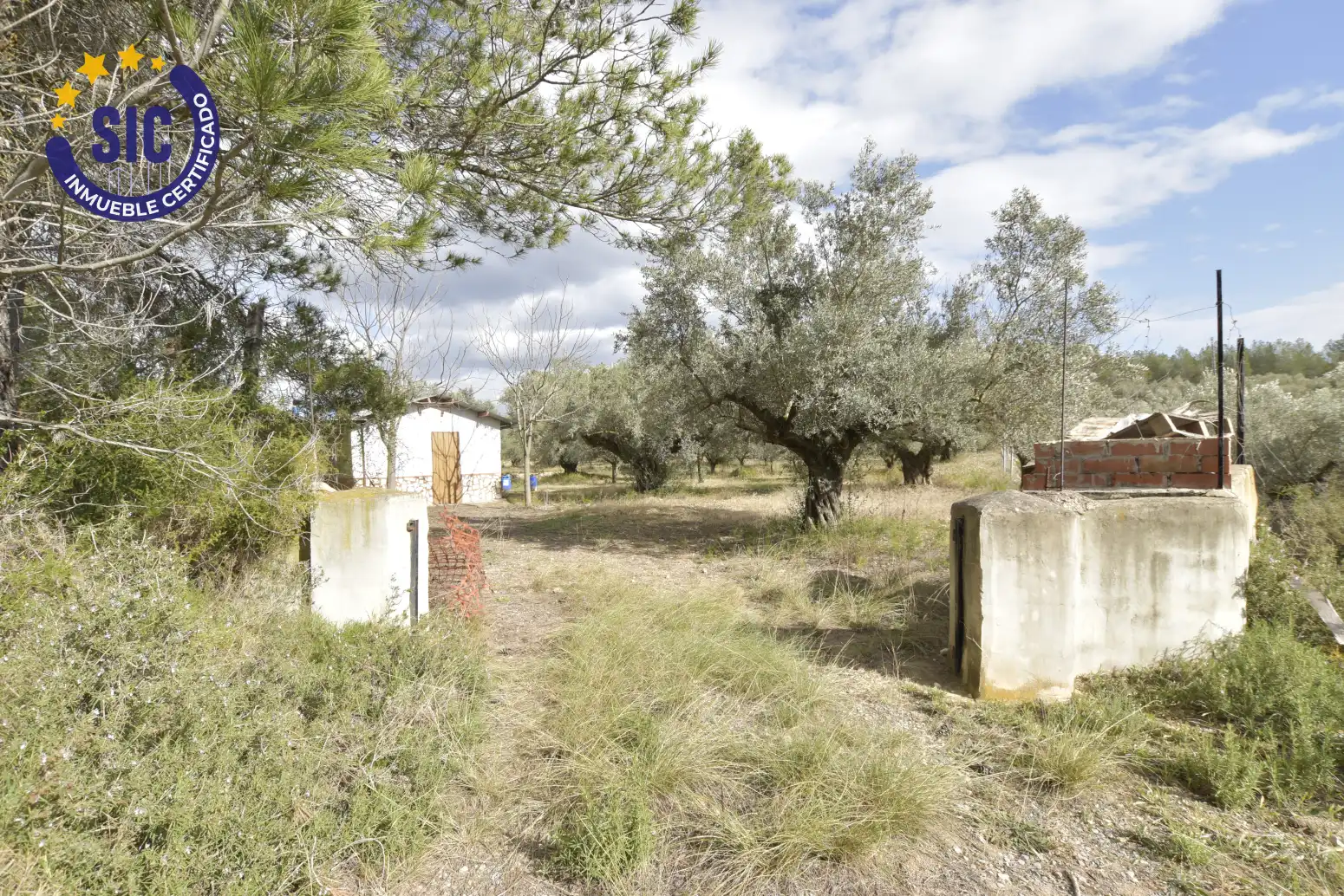 Land for sale in Jérica