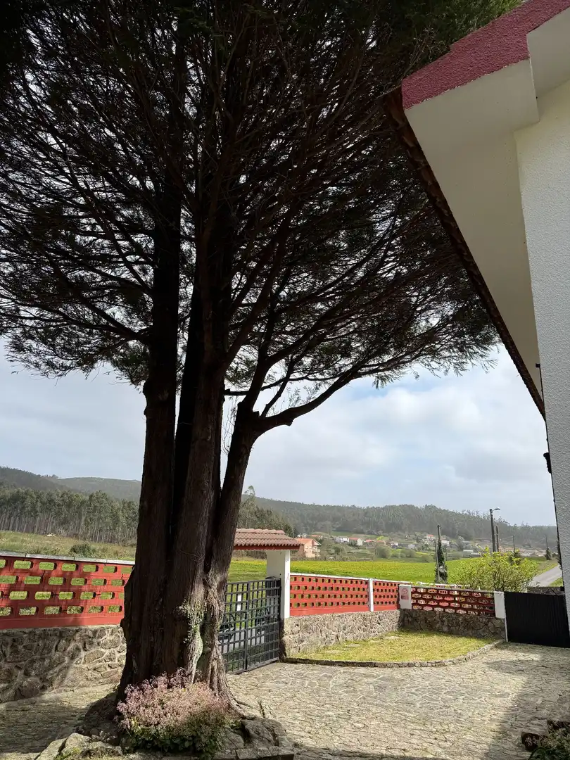 Jardín de Casa o chalet en venta en Muxía con Calefacción y Jardín privado
