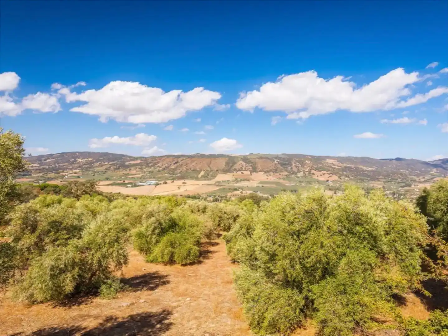 Wohnung zum Verkauf in Ronda mit Privatgarten, Abstellraum und Schwimmbad
