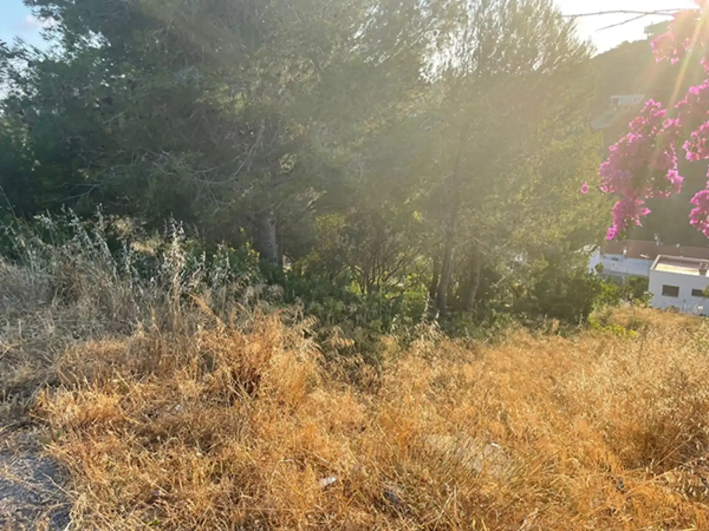 Terreno rústico en venta en Segur de Calafell - Avenida SANTA MARIA DE MONTSERRAT, imagen 6