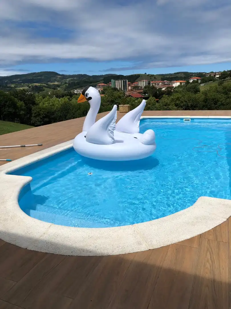 Swimming pool of Houses for sale in Lasarte-Oria  with Heating, Private garden and Terrace