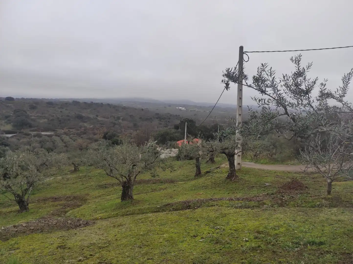 Terreno en venta en Plasencia
