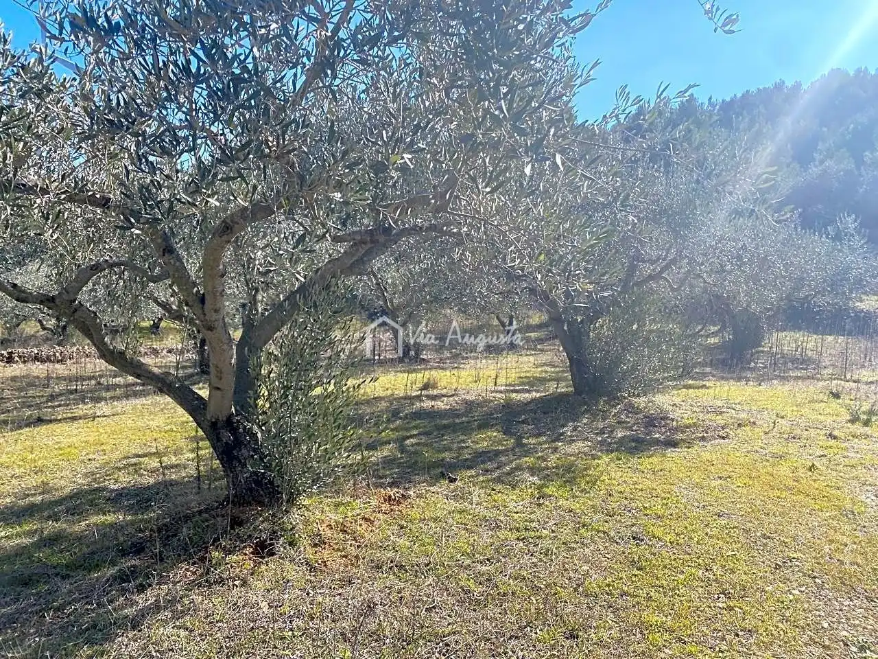 Terrain rustique à vendre à Calobres, imagen 5