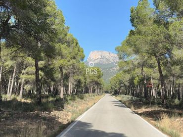 Rustikales Grundstück zum Verkauf in Calle Sierra Espuña Anexo Balsa grande 2 S/N