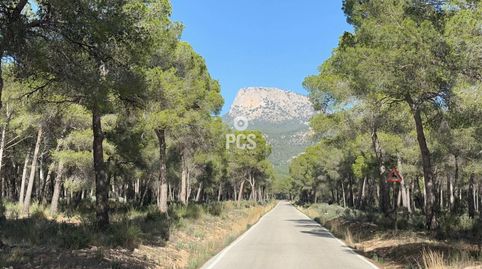 Terreno en venta en Totana