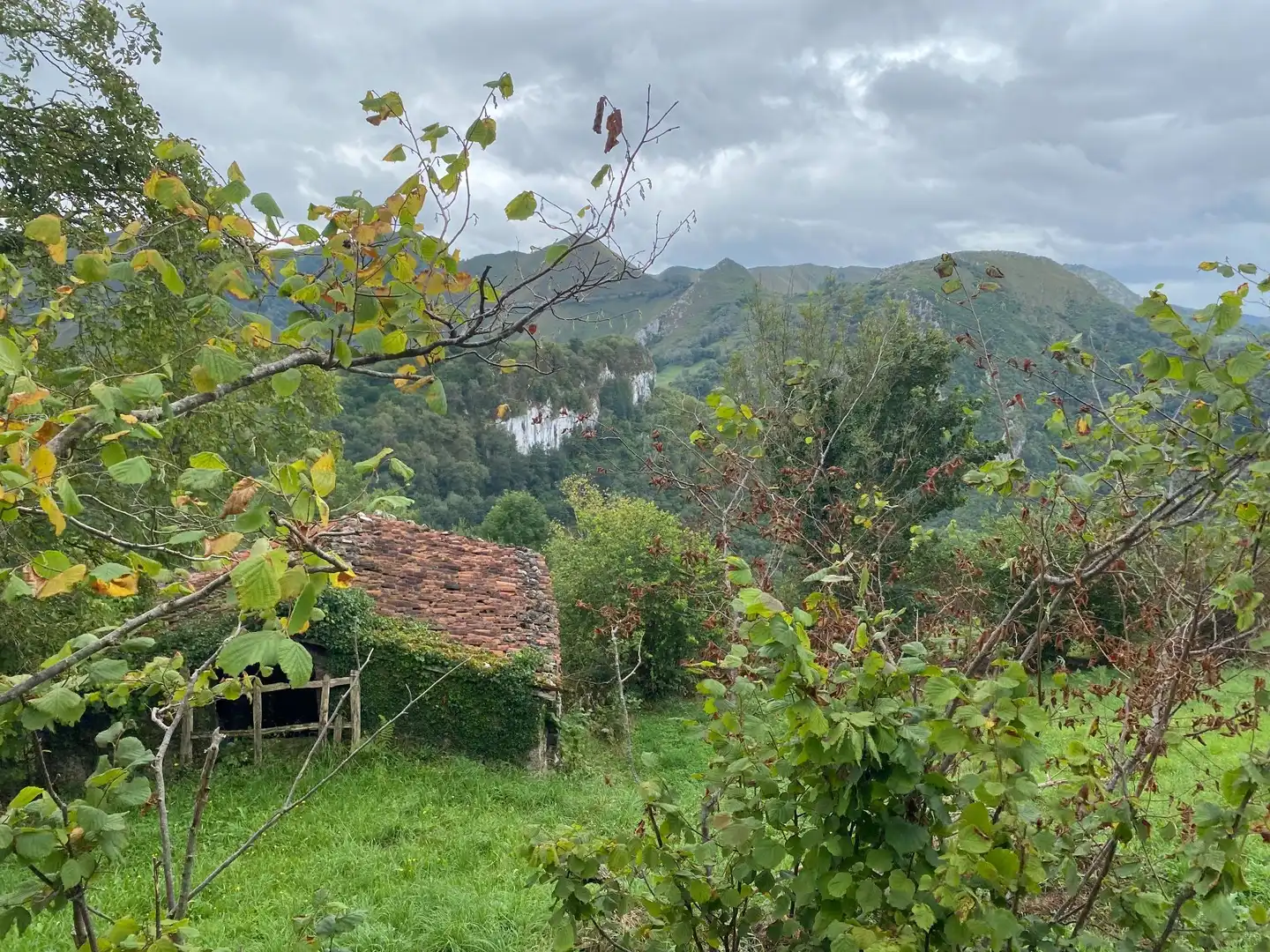 Houses for sale in Gamonedo, Cangas de Onís
