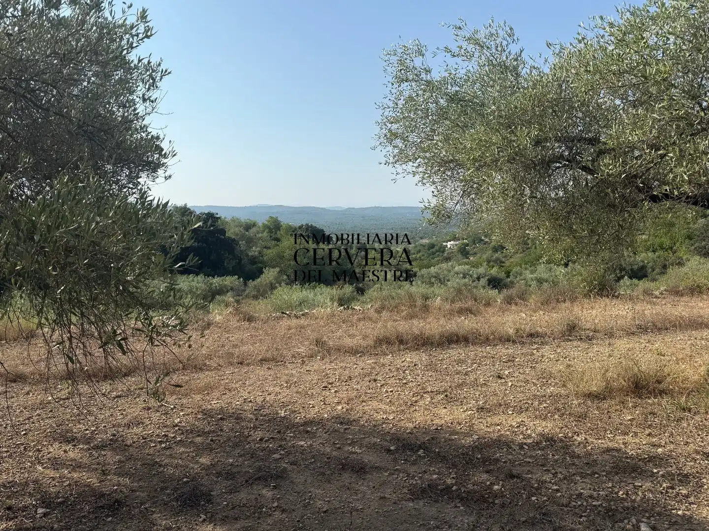 Terreno rustico in vendita a Cervera del Maestre, imagen 5