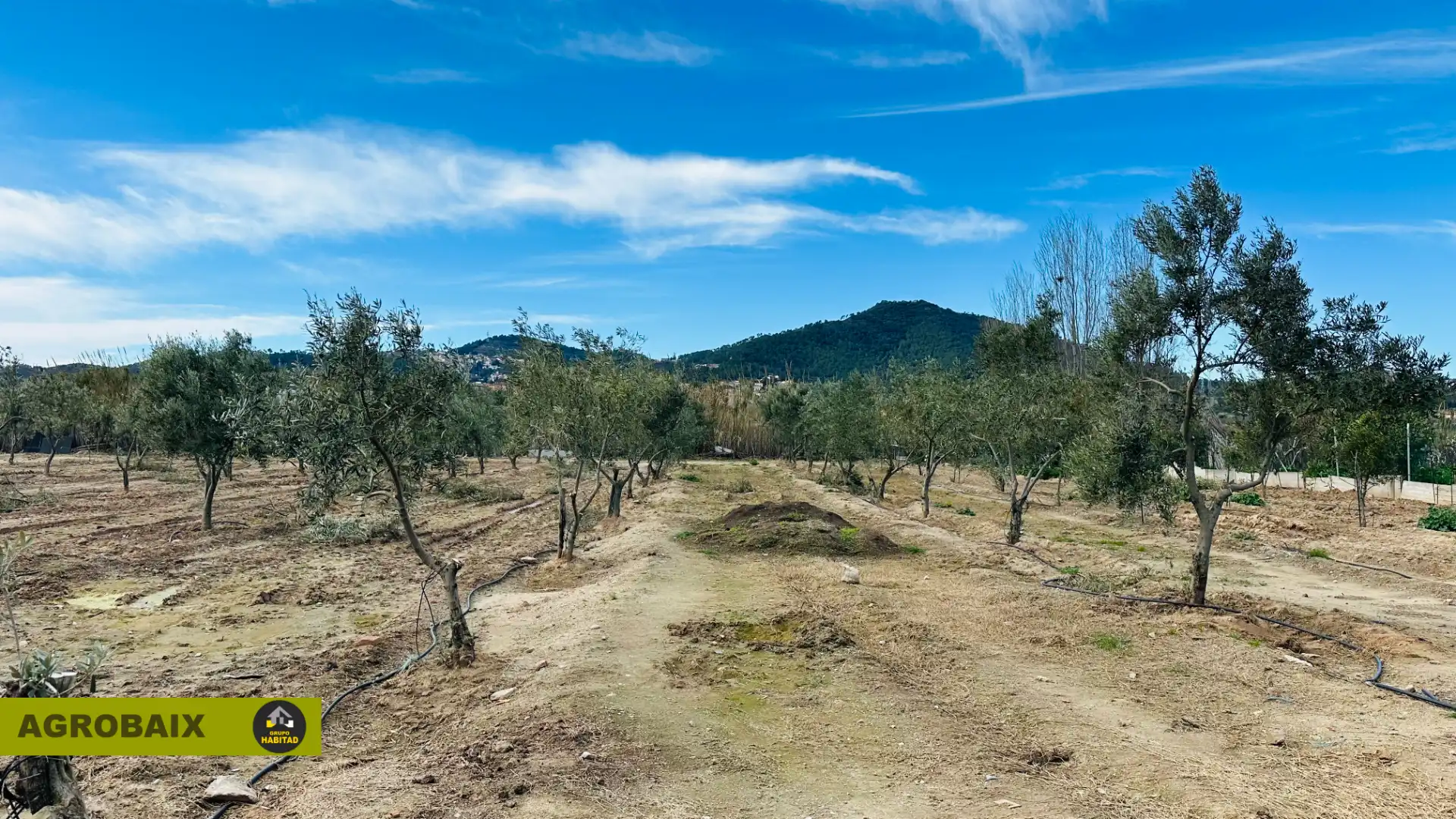Land for sale in Sant Joan Despí