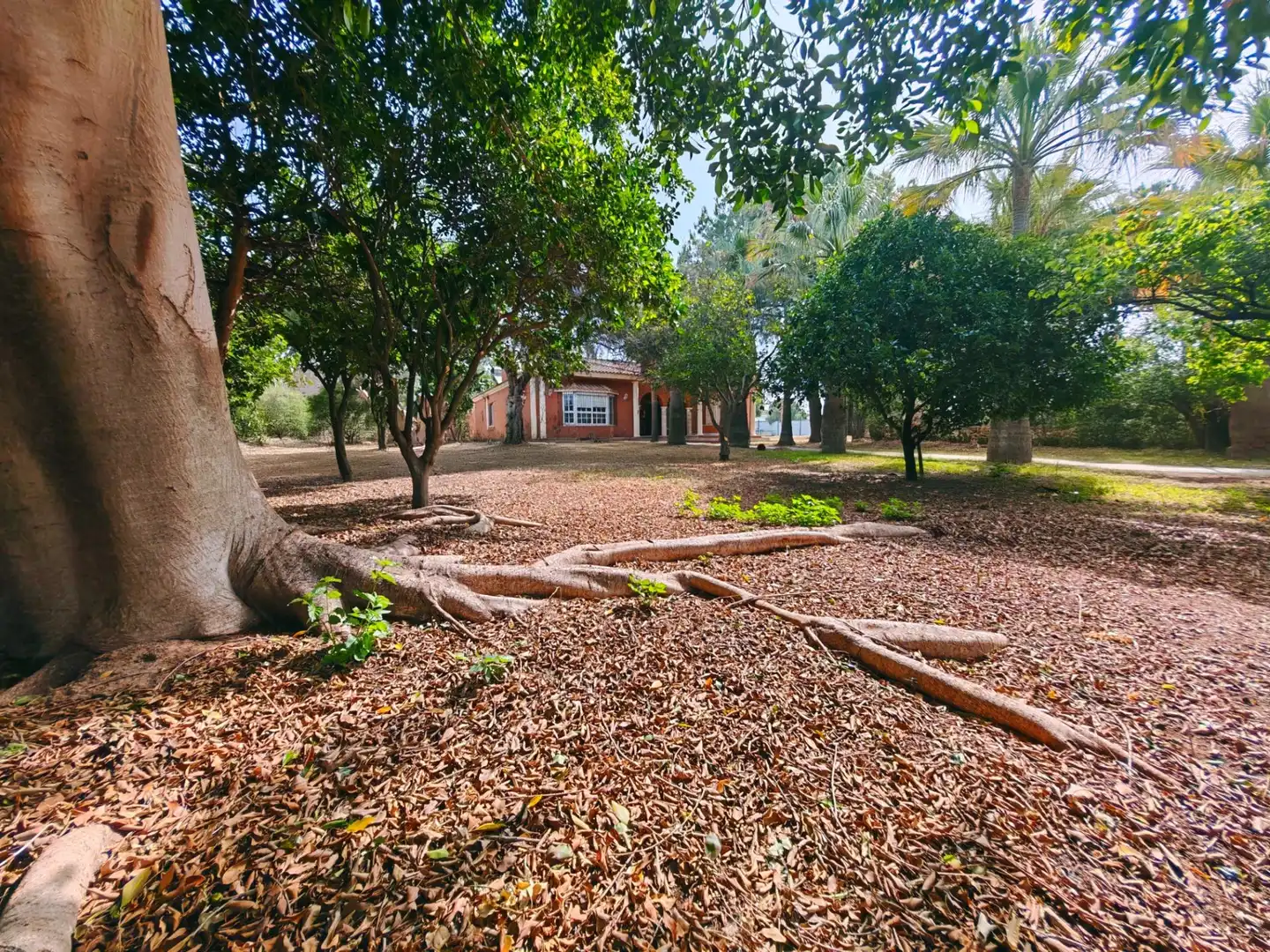 Jardí de Casa o xalet en venda en Chiclana de la Frontera amb Aire condicionat, Traster i Piscina
