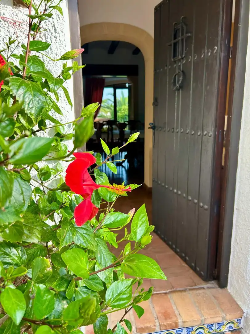 Villa con piscina in vendita a Cap Martí - El Tossalet - Pinomar, imagen 31