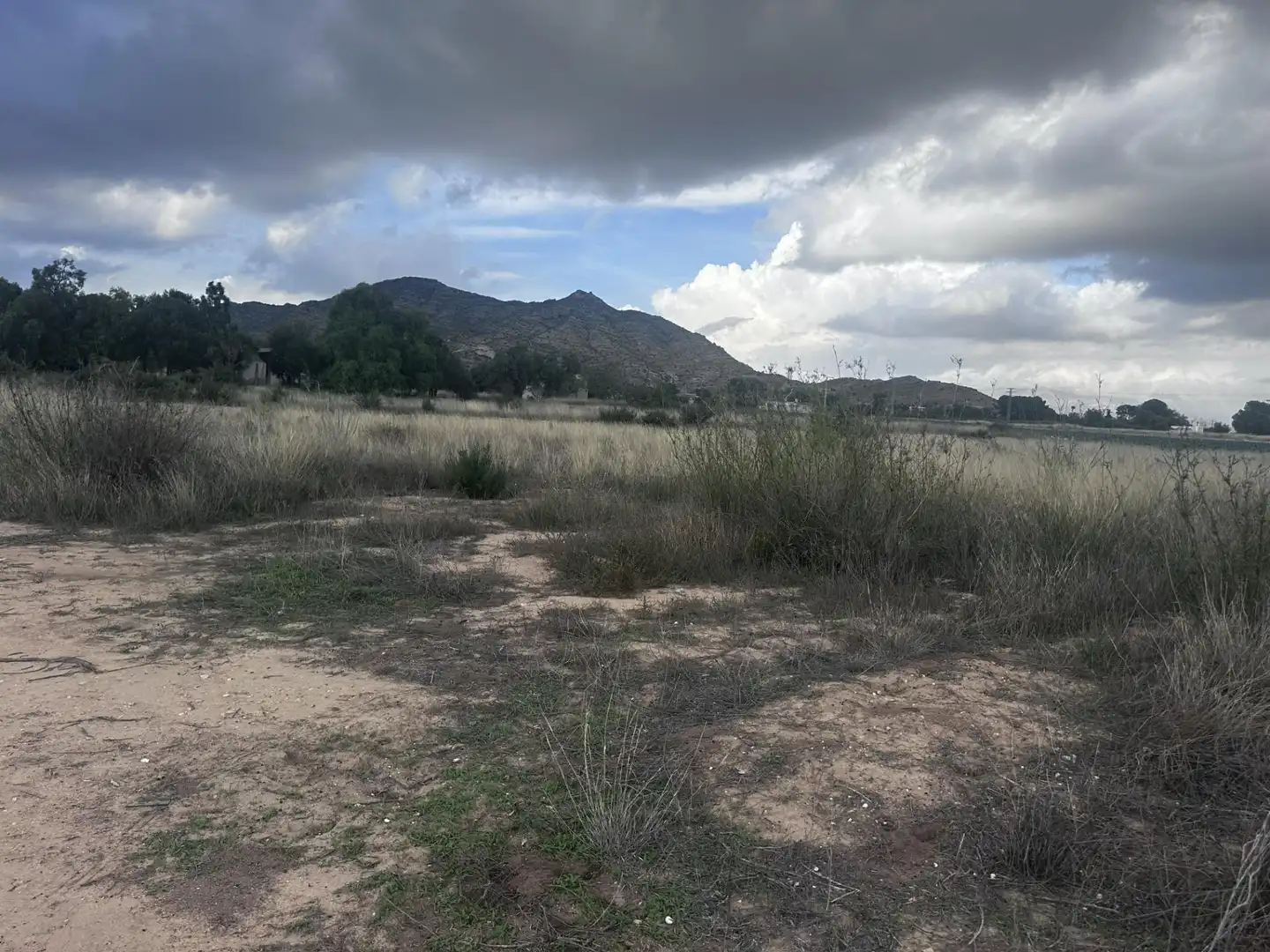 Terraced house for sale in Pedanías Oeste, imagen 2