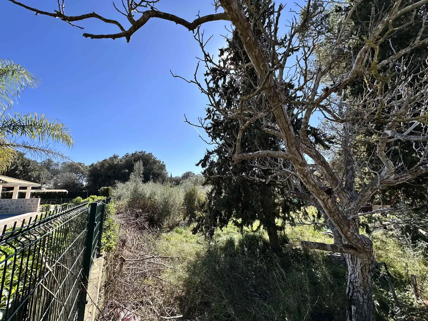 Terrenys i solars en venda a Sa Pobla, imagen 8