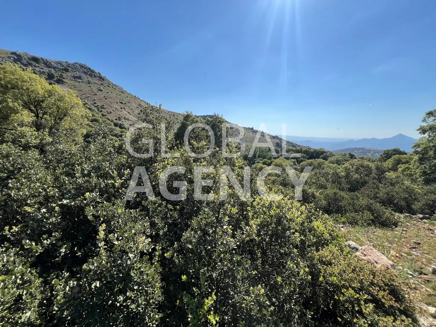 Terreny en venda en Jaén