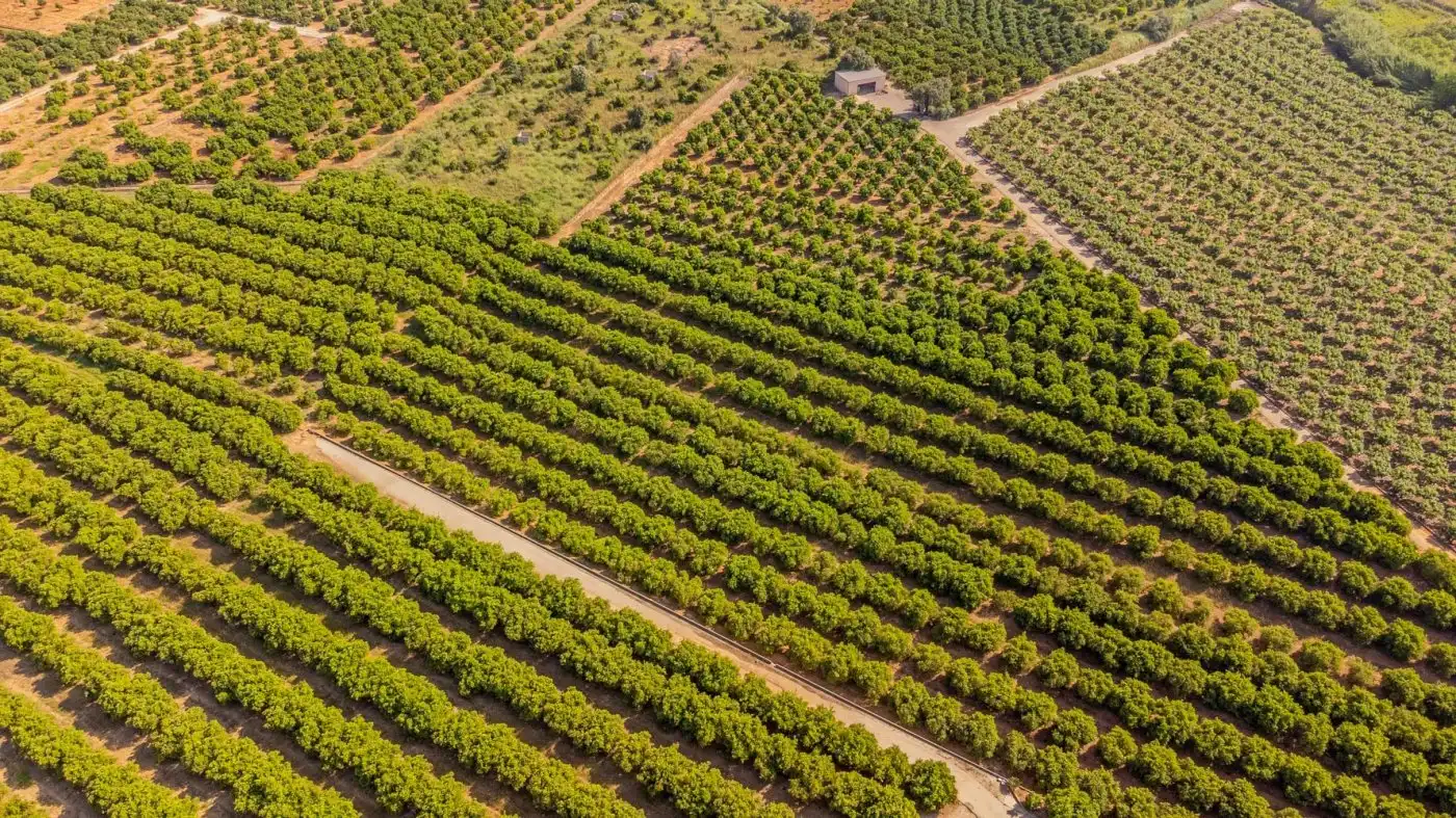 Finca rústica en venda en L'Énova amb Terrassa, Traster i Alarma