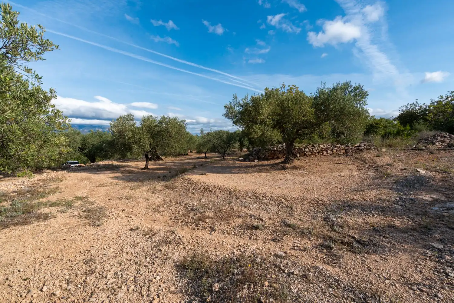 Rustikales Grundstück zum Verkauf in Carrer d'Arnau de Jardí 60, imagen 6
