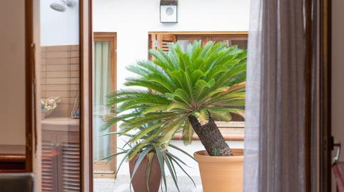 Photo 4 of Planta baja for sale in Carrer Bons Aires, Llucmajor pueblo, Llucmajor