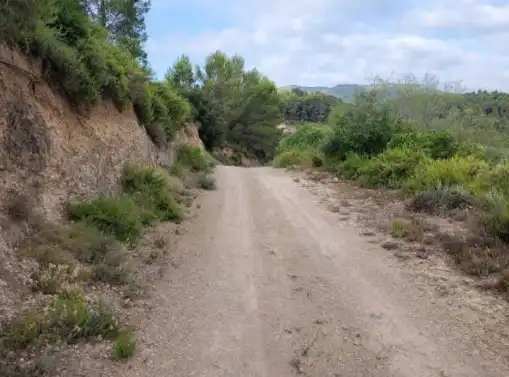 Terrain rustique à vendre à Pt La Costera de Játiva, imagen 7