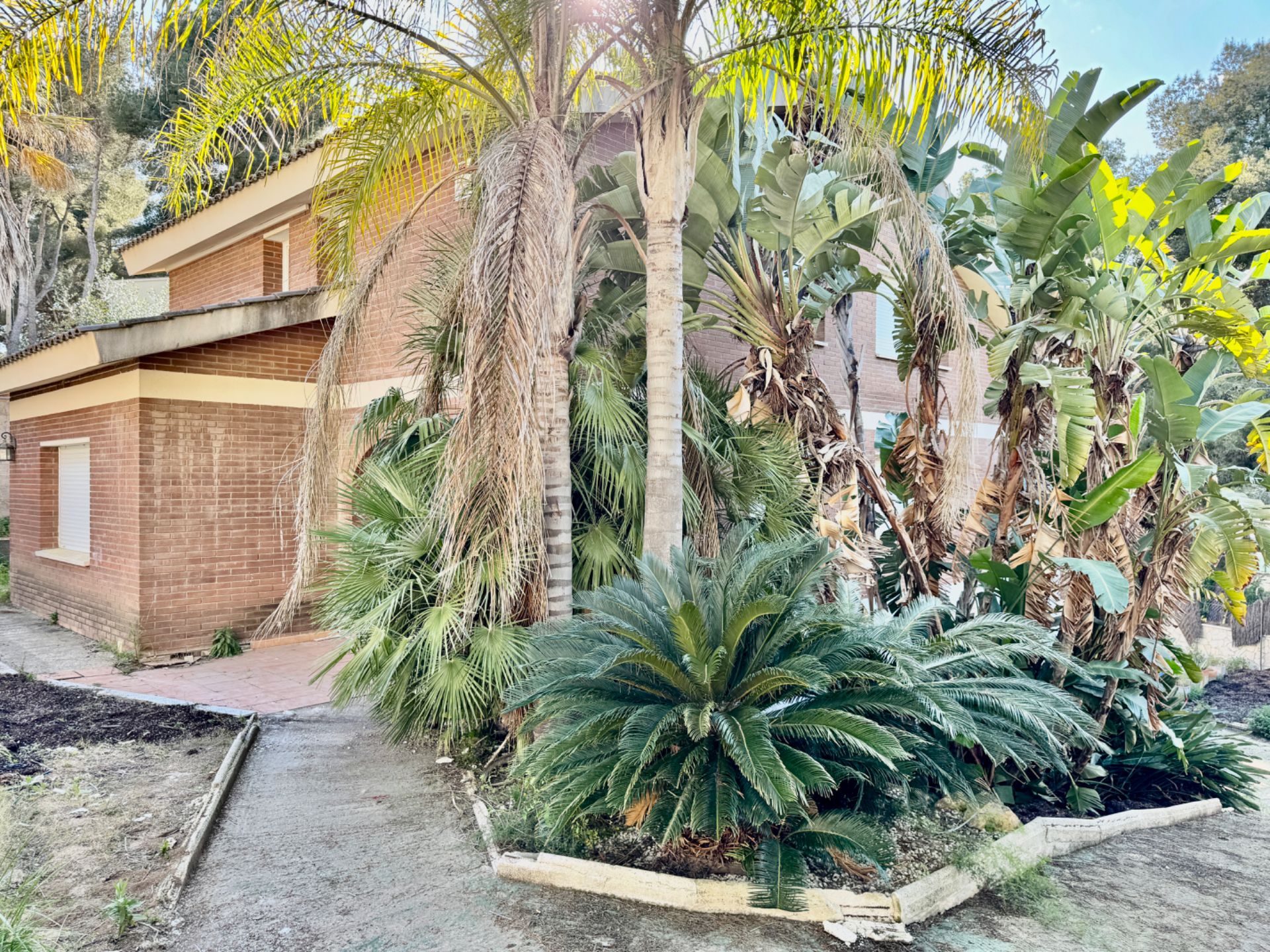 Vista exterior de Casa o xalet en venda en  Tarragona Capital amb Jardí privat, Terrassa i Traster