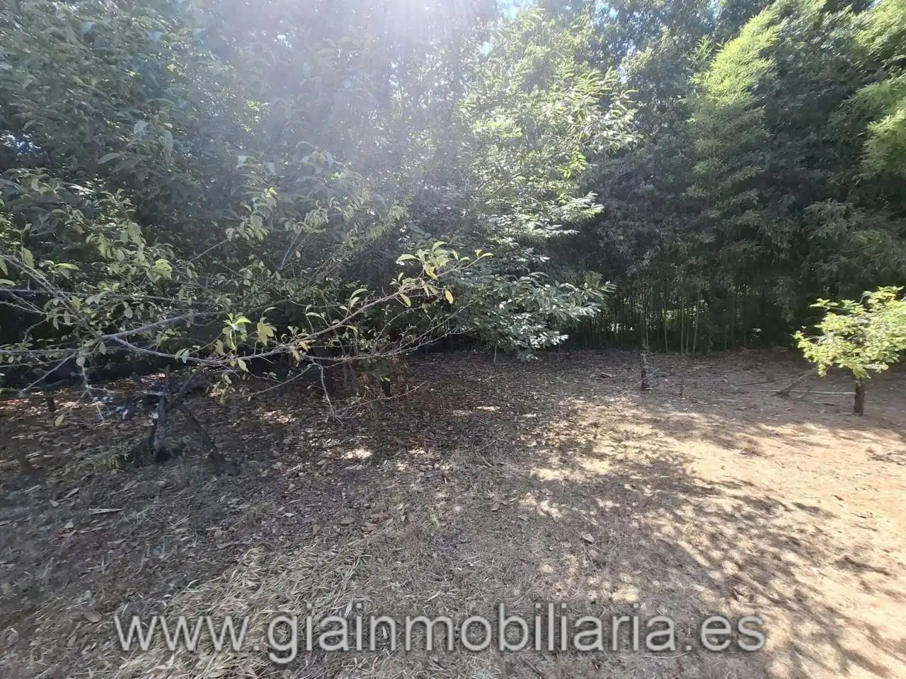 Casa con jardín en venta en Calle Angoares, imagen 26