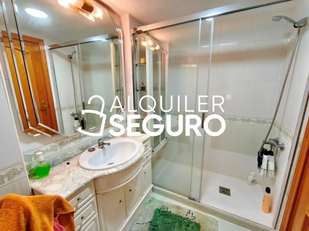 Appartamento con piscina in affitto a Avenida del oeste, imagen 14