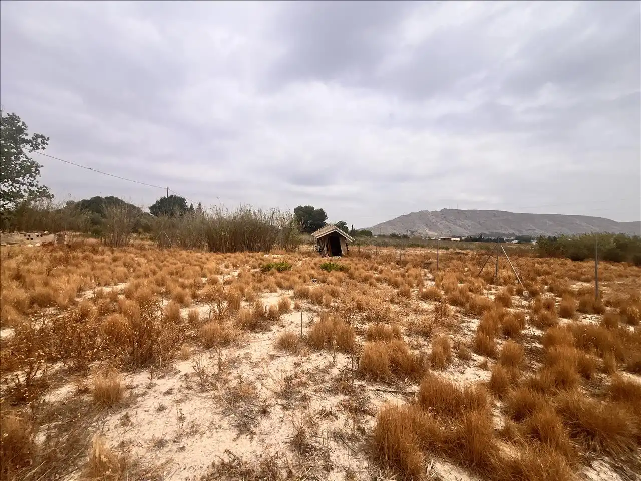 Land for sale in Las Tiesas (Poligono 47 Parcela 190), 50, -1, Las Tiesas