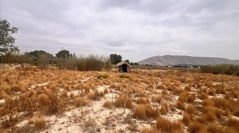 Photo 3 of Land for sale in Las Tiesas (poligono 47 Parcela 190), 50, -1, Las Tiesas, Villena