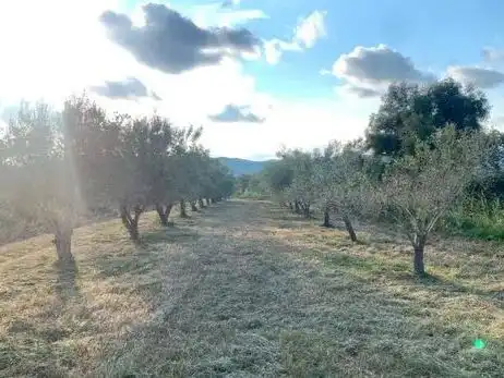 Land for sale in Cabanes