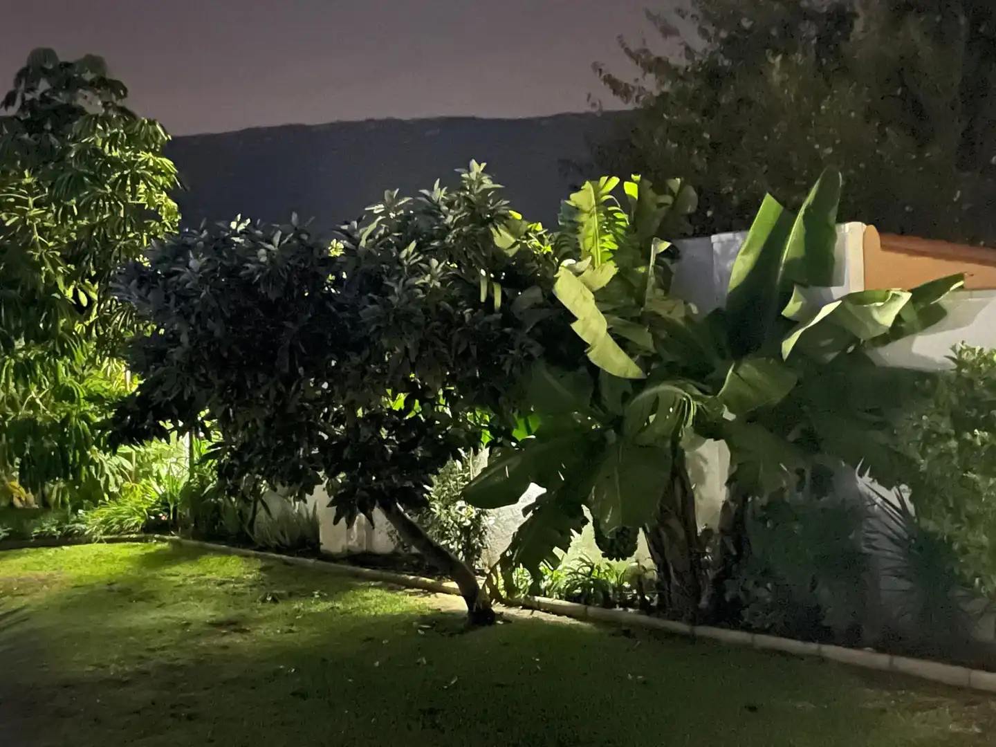Chalet en venta en El Zabal - Santa Margarita, imagen 2