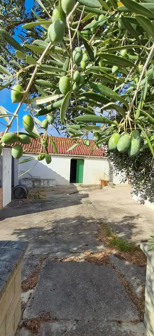 Casa rústica en venda a Arcos de la Frontera, imagen 58