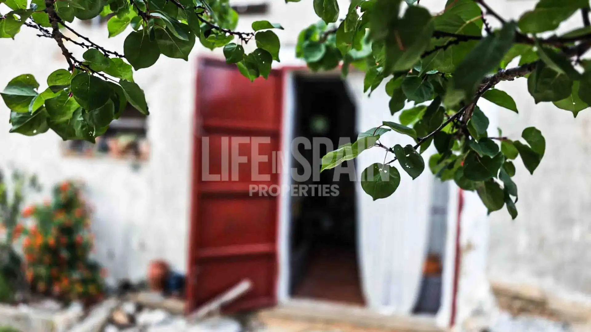 Finca rústica en venta en Bítem