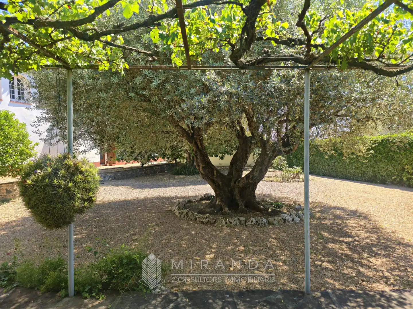 Jardín de Casa o chalet en venta en Les Franqueses del Vallès con Calefacción, Jardín privado y Terraza