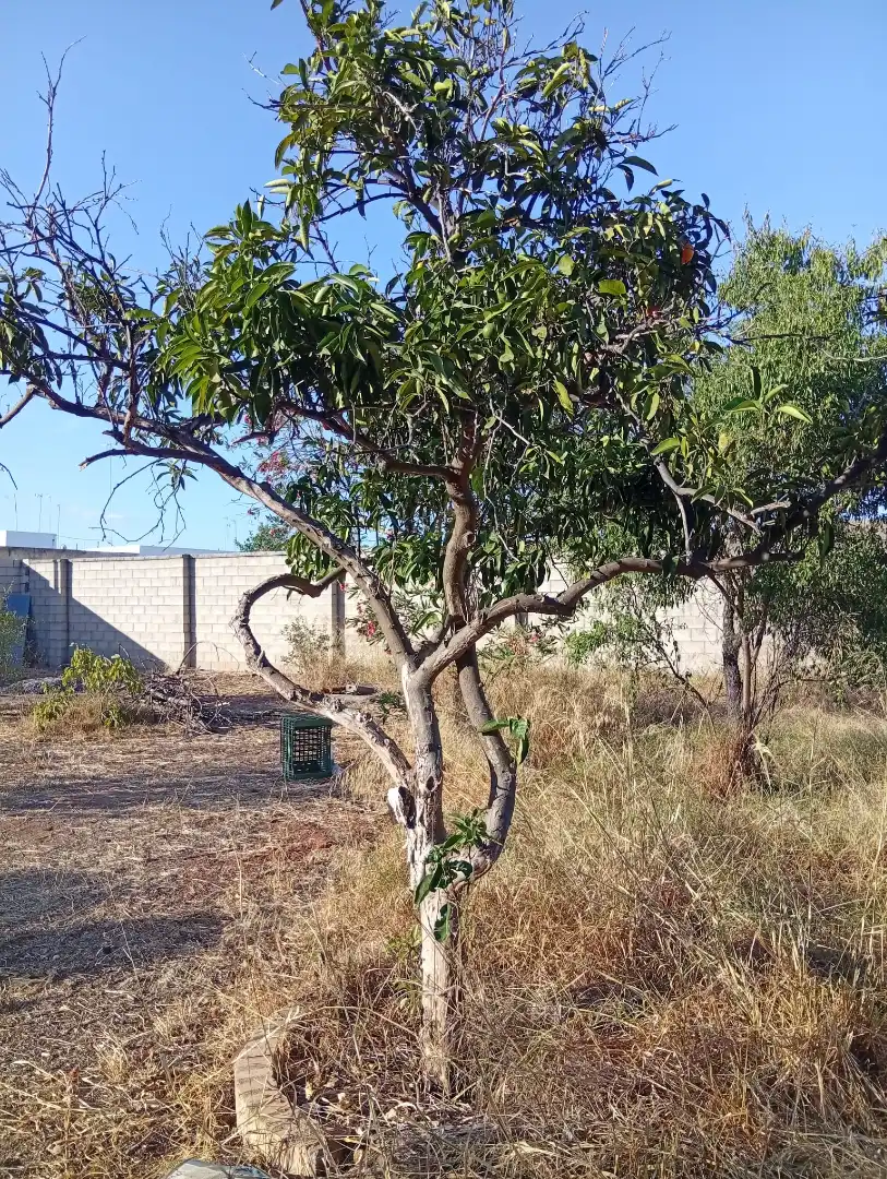 Terreni e lotti in vendita a La Hacienda - Nueva Andalucía, imagen 26