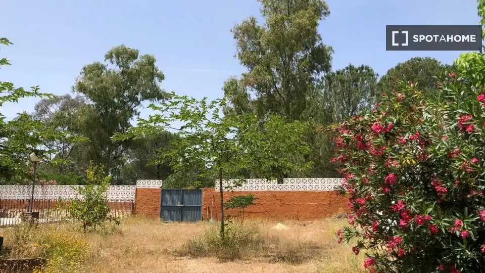 Habitació a Las Jaras