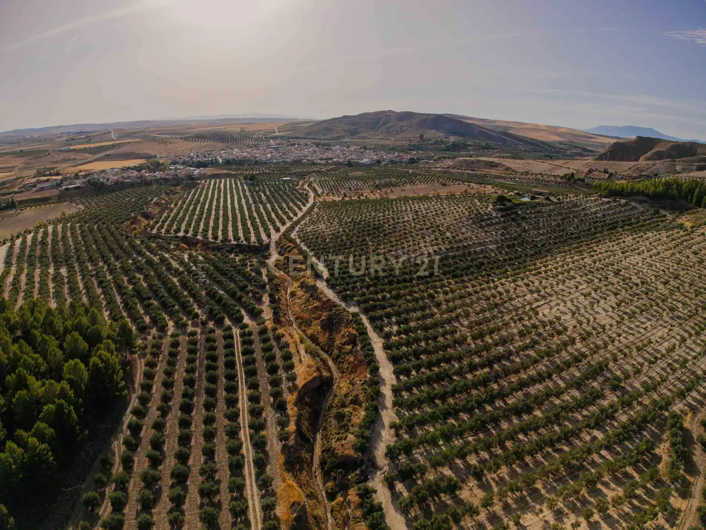 Terreno rústico en venta en 472M+GF La Malahá, Spain, imagen 2