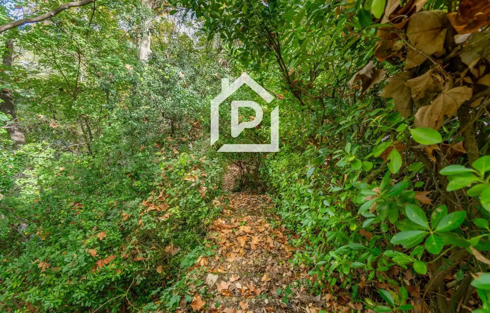 Villa mit Garten zum Verkauf in DE LA RESCLOSA, imagen 48