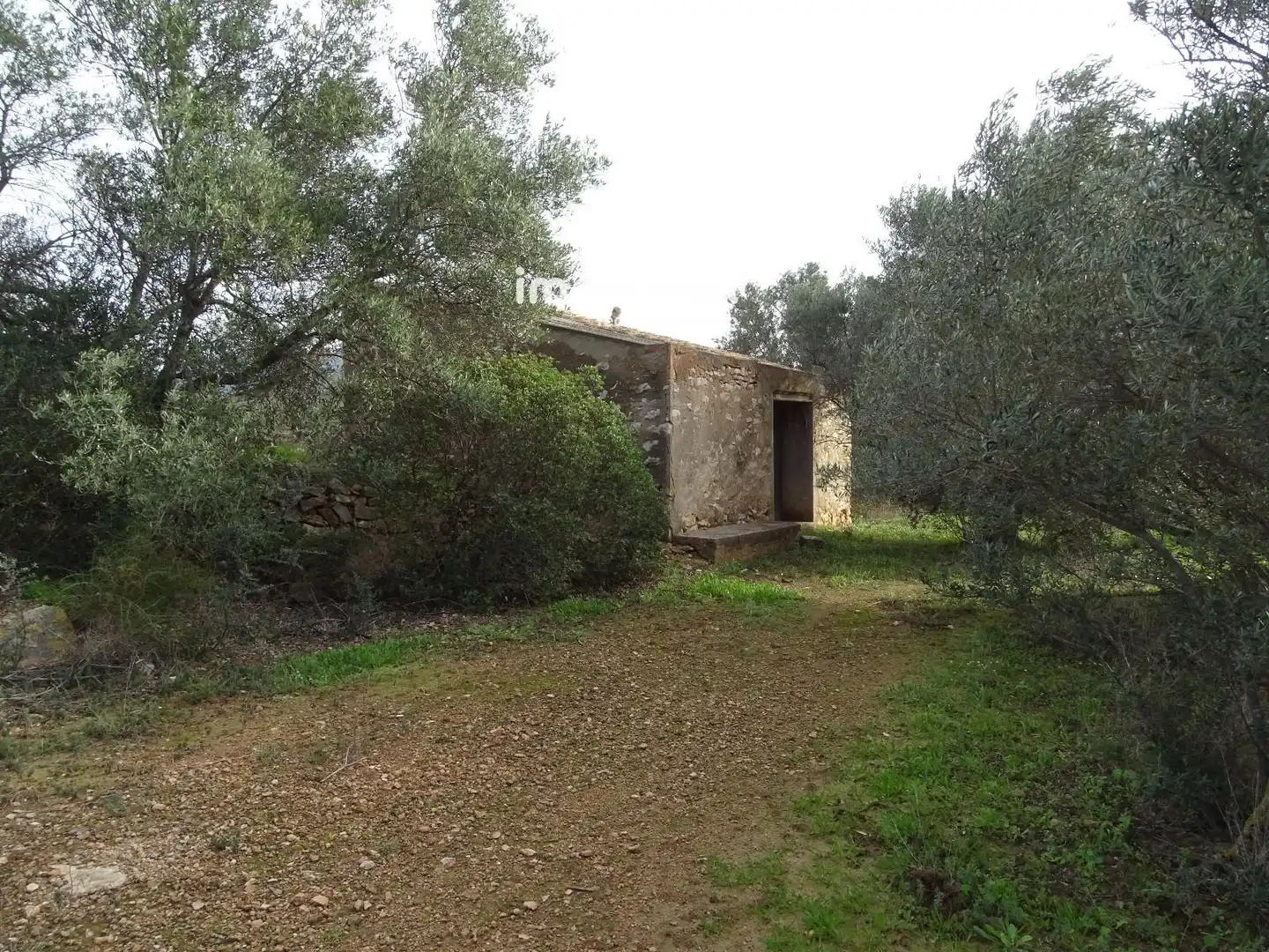 Terrain résidentiel à vendre à 16, imagen 11