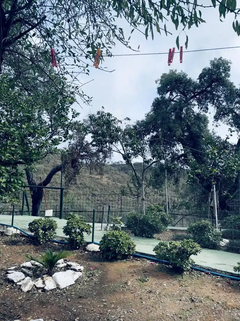 Finca rústica en venda en Berrocal amb Jardí privat, Traster i Piscina
