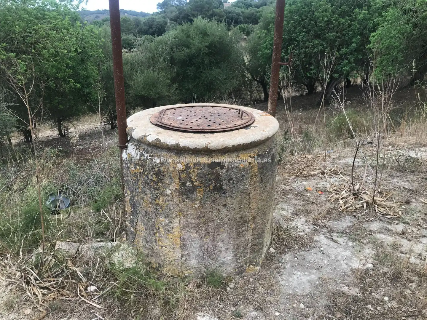 Vista exterior de Finca rústica en venta en Maria de la Salut con Calefacción y Terraza
